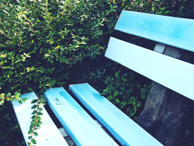 这是一种迷 这是一种迷