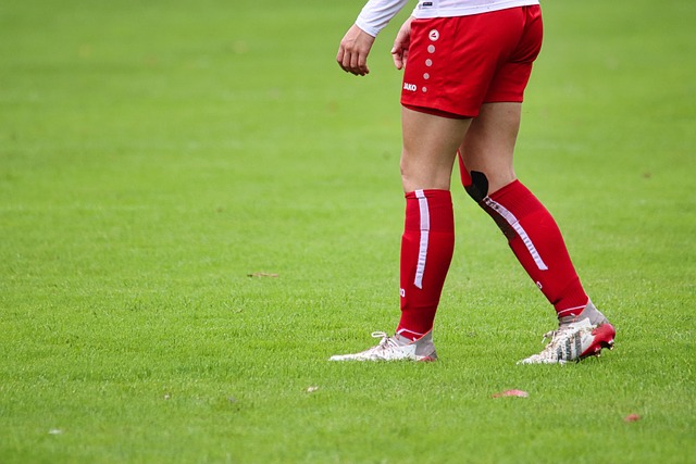 梅花谱布局 梅花谱布局