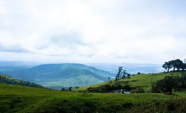 强进攻火力 强进攻火力