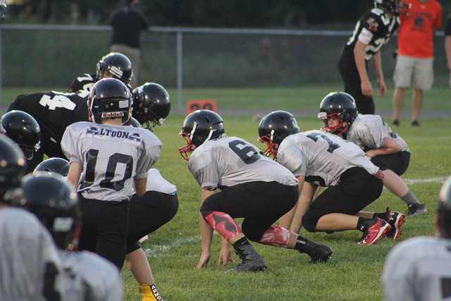 為美國職業 為美國職業