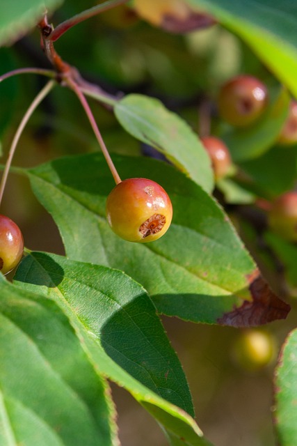 最有利的进 最有利的进