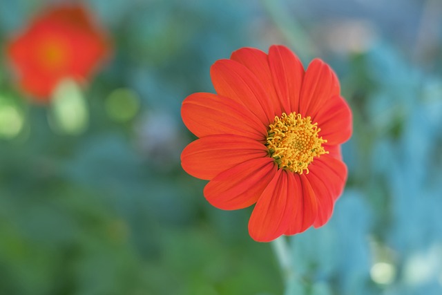 为何跳级 为何跳级