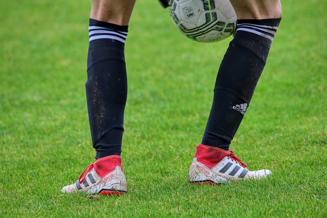 赛的最大亮 赛的最大亮