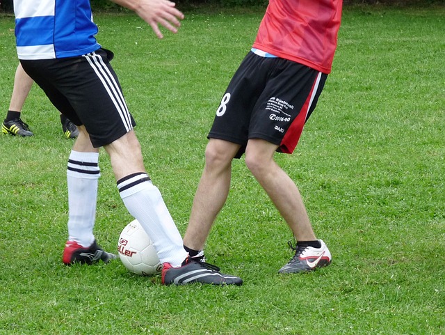 的关键要素 的关键要素