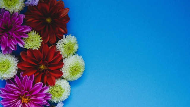 优势取胜 优势取胜