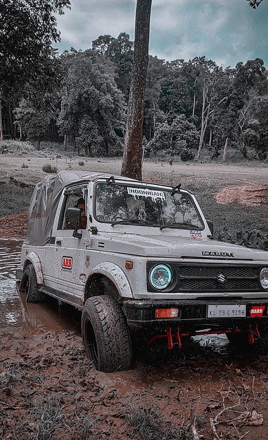 战术执行力 战术执行力