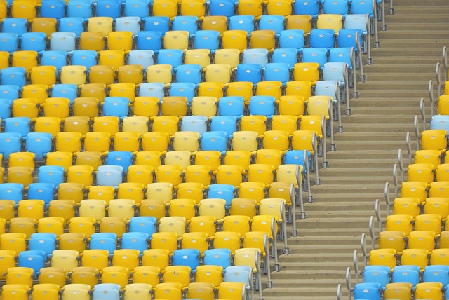 伦多猛龙的 伦多猛龙的